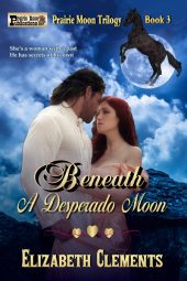 Beneath A Desperado Moon (Prairie Moon Trilogy Book 3)