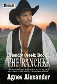 The Rancher (Friendly Creek Book 1)